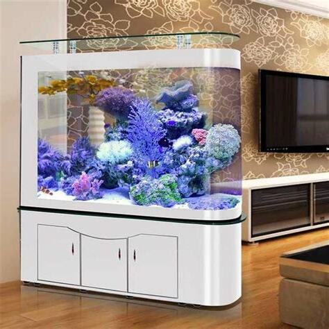魚缸 風水